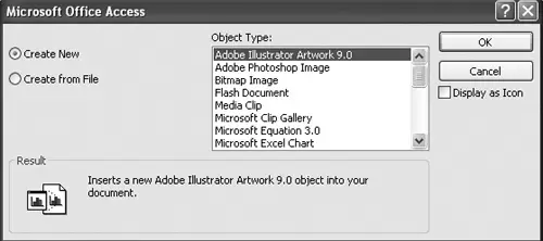 von Bildern in Access mithilfe von OLE-Objektfeldern